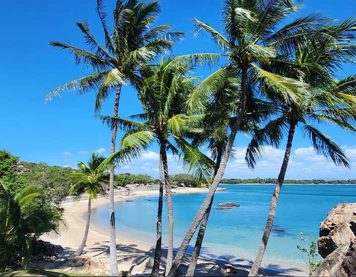 Coconut palms leaning over a rocky bay with clear blue water and a sandy beach near Bowen
