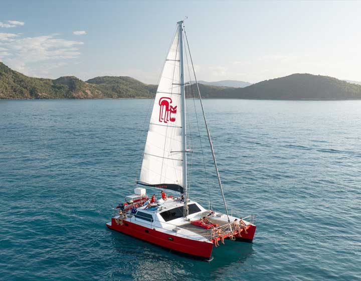 Tongarra, a red Red Cat Adventures sailing catamaran with guests on the trampolines, sailing past forested Whitsunday islands