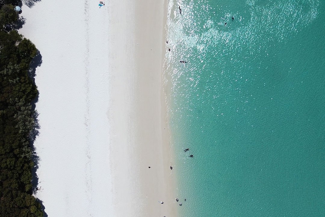 Whitehaven Beach from directly above: white silica sand between the trees and the turquoise water, with swimmers in the shallows