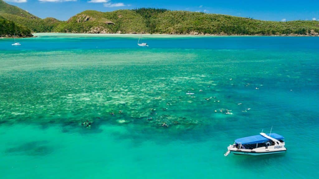 Snorkellers over a shallow coral reef in turquoise water beside a tour boat, with a forested Whitsunday island behind